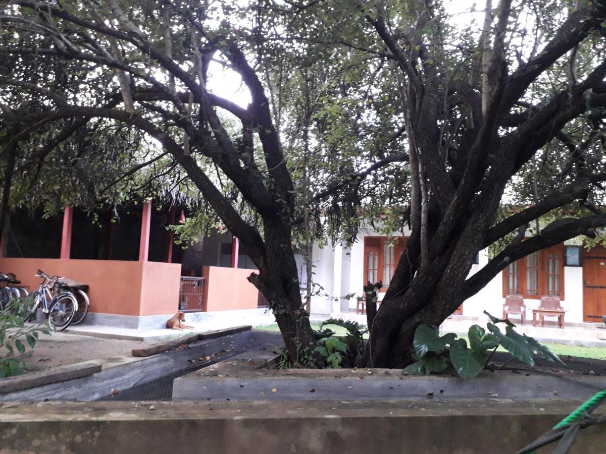 River Nature Park Polonnaruwa Exterior foto