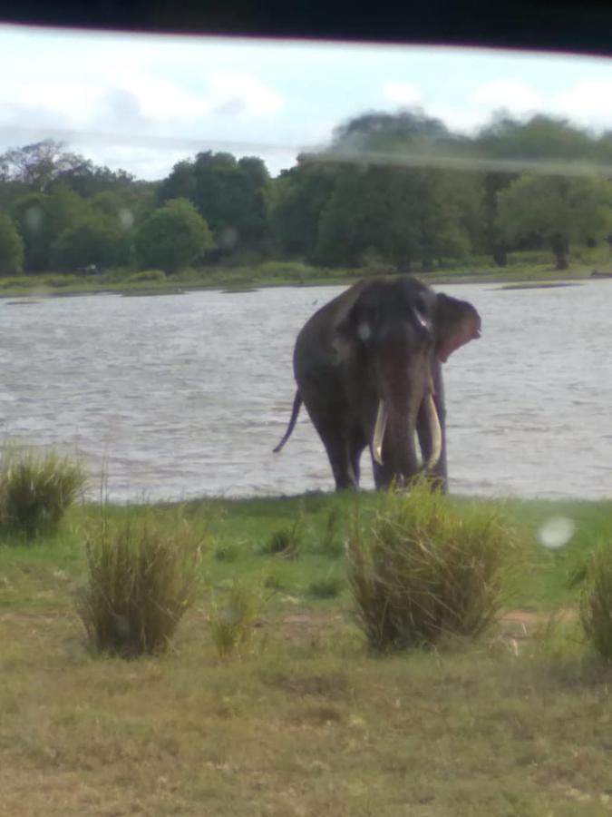 River Nature Park Polonnaruwa Exterior foto